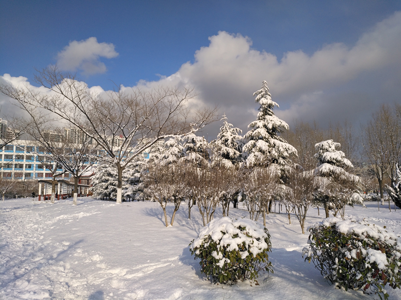 雪景 (13).jpg